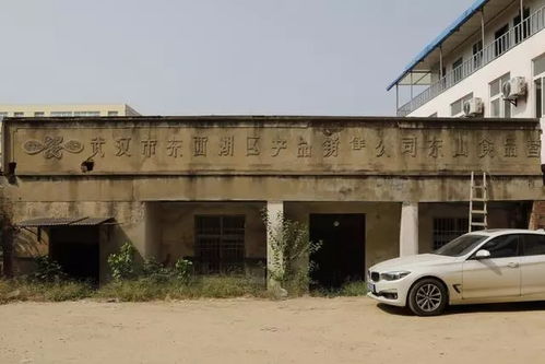 文物古跡 文物古跡 武漢市東西湖區人民政府 武漢臨空港經濟技術開發區管委會