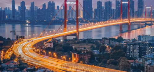 疫區(qū)擺渡人 再也沒進(jìn)過孩子房間 他求抱抱我卻不能