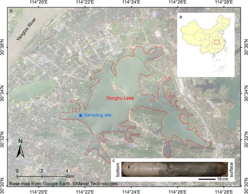 武漢市東湖沉積物中微塑料的快速增長(zhǎng) 科學(xué)報(bào)告 前100亮點(diǎn)文章