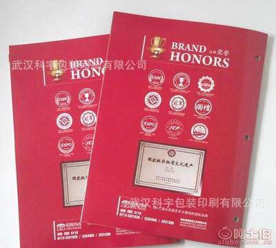 【廠家免費(fèi)專業(yè)設(shè)計(jì)印刷企業(yè)宣傳冊(cè)、產(chǎn)品畫冊(cè)、說明書